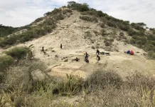 Oldest hominins of Olduvai Gorge persisted across changing environments