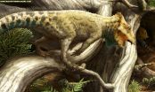 Oldest horned dinosaur species in North America found in Montana 2