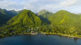 Olympic tower construction at Teahupo’o, Tahiti could damage reef ecosystem