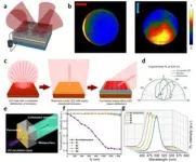 On-chip light control of semiconductor optoelectronic devices using integrated metasurfaces 2