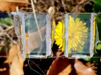 On the road to invisible solar panels: How tomorrows windows will generate electricity