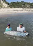 On the trail of the silver king: Researchers at UMass Amherst reveal unprecedented look at tarpon migration 2