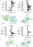 Oncotarget: 1B3 supports strong potential for therapeutic intervention in oncology