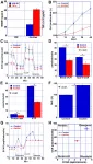 Oncotarget: Evaluation of cancer-derived myocardial impairments using a mouse model