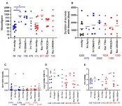 Oncotarget: Genomic and neoantigen evolution in head and neck squamous cell carcinoma