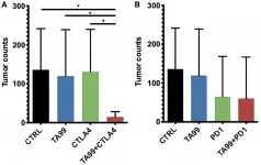 Oncotarget: Improved therapeutic efficacy of unmodified anti-tumor antibodies