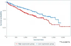 Oncotarget: LAPAS1 is required for S phase progression and cell proliferation