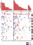 Oncotarget: Predictors of immunotherapy benefit in Merkel cell carcinoma