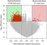 Oncotarget: Prognostic biomarker for patients with hepatocellular carcinoma