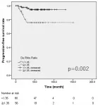 Oncotarget: Progression in high-risk non-muscle invasive bladder cancer