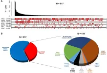 Oncotarget: Retaining nanomolar potency in lung cancer with therapy-refractory mutations