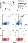 Oncotarget: STAT3 induces the expression of GLI1 in chronic lymphocytic leukemia cells