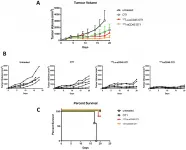 Oncotarget: Targeted lymphodepletion with a CD45-directed antibody radioconjugate