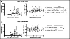 Oncotarget: Targeting engineered cytokine with interleukin to the neovasculature of tumors