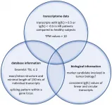 Oncotarget: Urine RNA reveal tumor markers for human bladder cancer