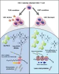 One step closer to eliminating latency, the real challenge in combating HIV