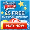 Online Bingo Guide to No Deposit Bingo Bonuses 3