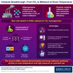 Opening a new frontier: PdMo intermetallic catalyst for promoting CO2 utilization