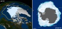 Opposite behaviors? Arctic sea ice shrinks, Antarctic grows