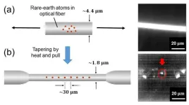 Optical-fiber based single-photon light source at room temperature for next-generation quantum processing