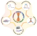 Optical trapping of optical nanoparticles: fundamentals and applications