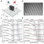 Optically controlled metasurfaces for dynamic dual-mode modulation 2