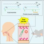 Oral barrier is similar in ceramide composition to skin barrier