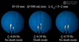 Oregon State researchers develop new model for quickly evaluating potential cervical cancer drugs 2