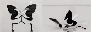 Origami comes to life with new shape-changing materials