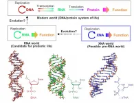 Origins of life could have started with DNA-like XNAs