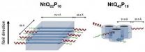 ORNL, UTGSM study compares structures of Huntingtons disease protein