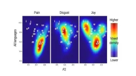 Ouch! Commonalties found in pain vocalizations and interjections across cultures