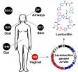 Our microbes are a rich source of drugs, UCSF researchers discover