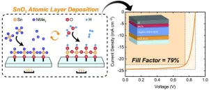 Outstanding performance of organic solar cell using tin oxide