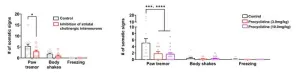 Overcoming nicotine withdrawal: Clues found in neural mechanisms of the brain