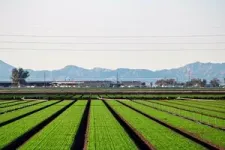 Overlooked emissions in California’s Salton Sea air basin 3