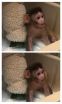 Oxytocin promotes social behavior in infant rhesus monkeys