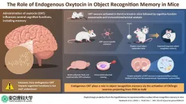 Oxytocin: the love hormone that holds the key to better memory