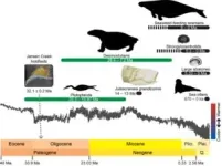 Pacific kelp forests are far older that we thought 3