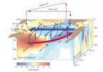 Pacific trade winds stall global surface warming -- for now