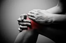 Painful truth about knee osteoarthritis:  Why inactivity may be more complex than we think