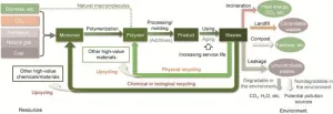 Pathways for the sustainable development of polymeric materials
