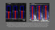 Patient stem cells used to make heart disease-on-a-chip