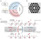 PCF-based parallel reactors unveils collective matter-light analogies of soliton molecules