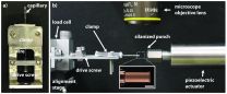 Penn researchers show commonalities in how different glassy materials fail