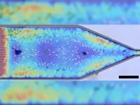 Penn State researchers use ultrasound to control orientation of small particles 2