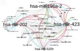 Penn study finds genetic mutations linked with ethnic disparities in cancer