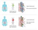 People may inherit gut bacteria that cause Crohns disease and ulcerative colitis