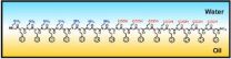 Peptoid nanosheets at the oil-water interface 3