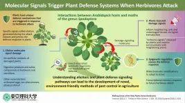 Perceiving predators: Understanding how plants sense herbivore attack